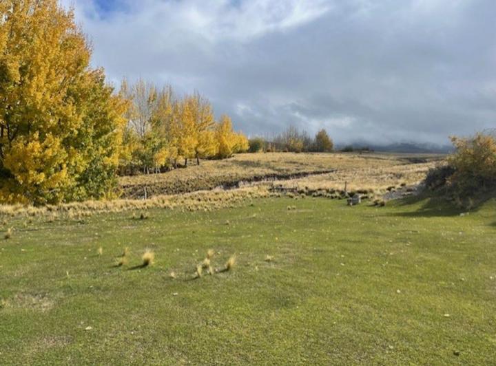 Campo · 200ha
