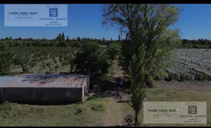Campo · 140m² · 1 Ambiente