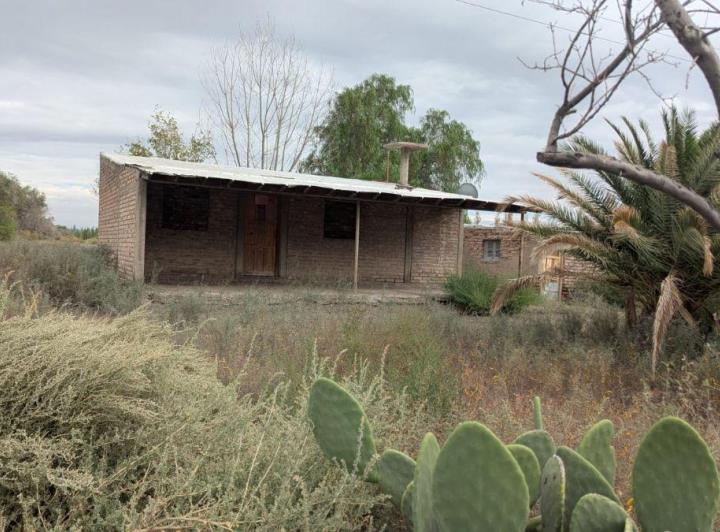 Campo · 55m²