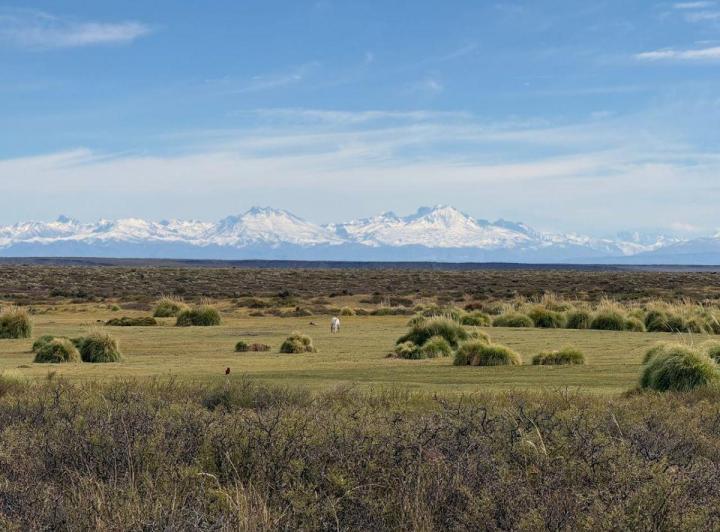 Campo · 49084ha