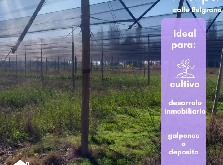 Terreno · 15500m²
