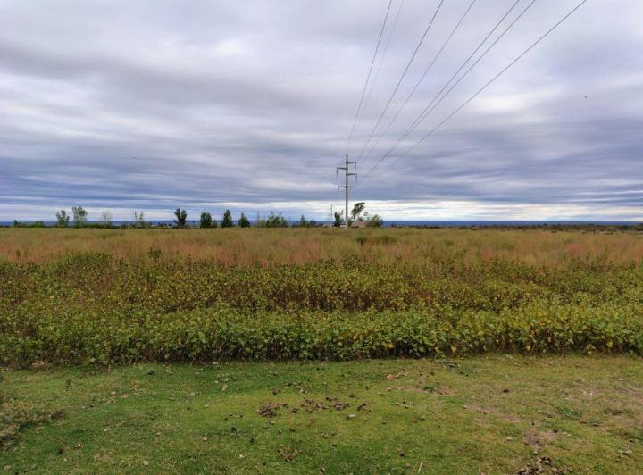 Campo · 110m²