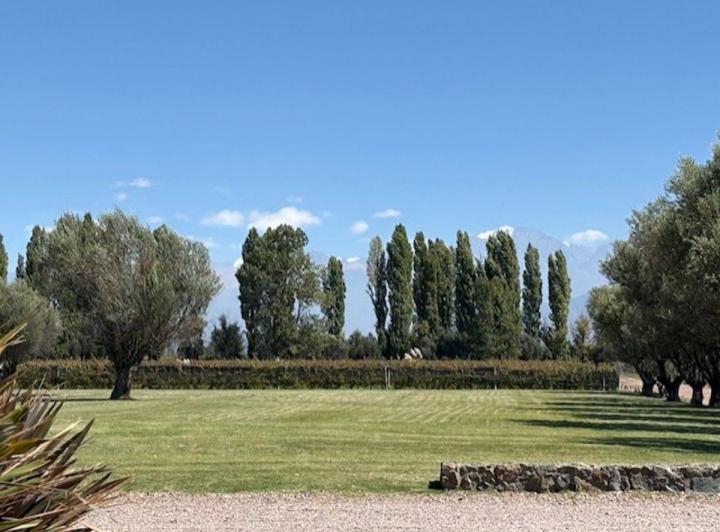 Campo · 22ha