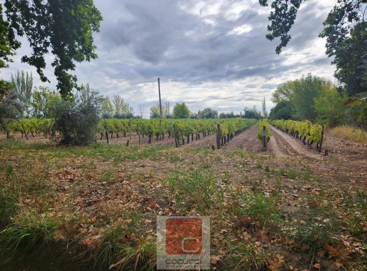 Campo · 800000m²