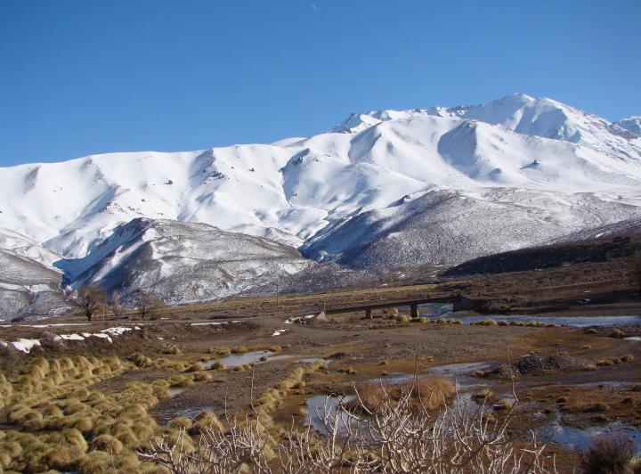 Terreno