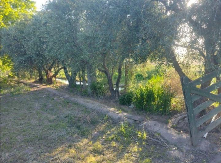 Campo · 225m² · 3 Dormitorios · 3 Cocheras