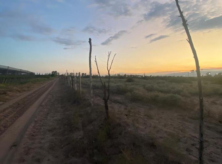 Terreno · 60000m²