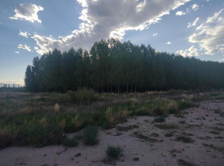 Terreno · 30000m²