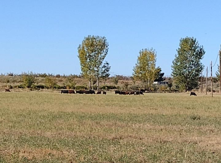 Quinta vacacional · 1040000m²