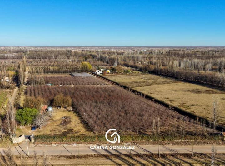 Campo · 70m² · 2 Ambientes