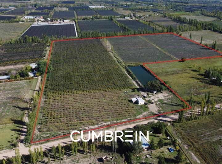 Campo · 140m²