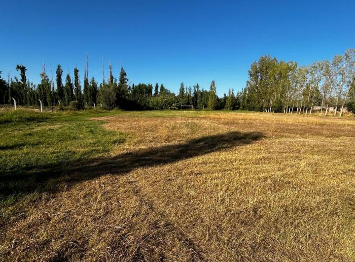 Terreno · 150000ha