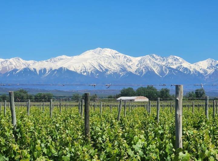 Campo · 2000000ha
