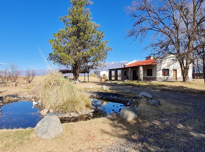 Campo · 279000m² · 6 Ambientes