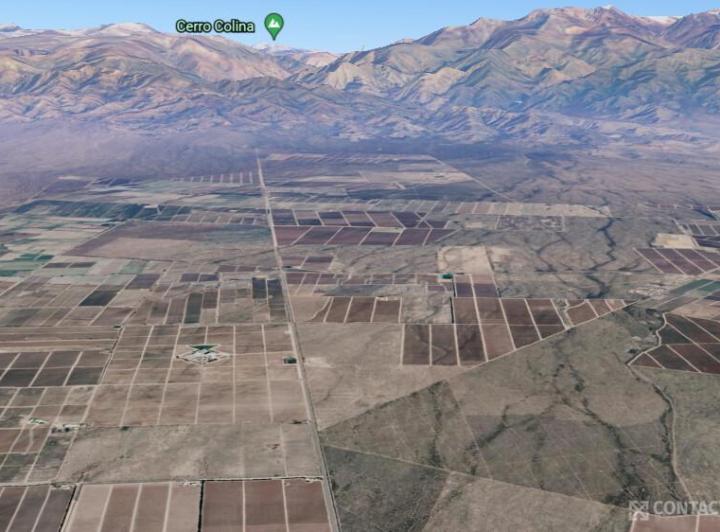 Campo · 84ha