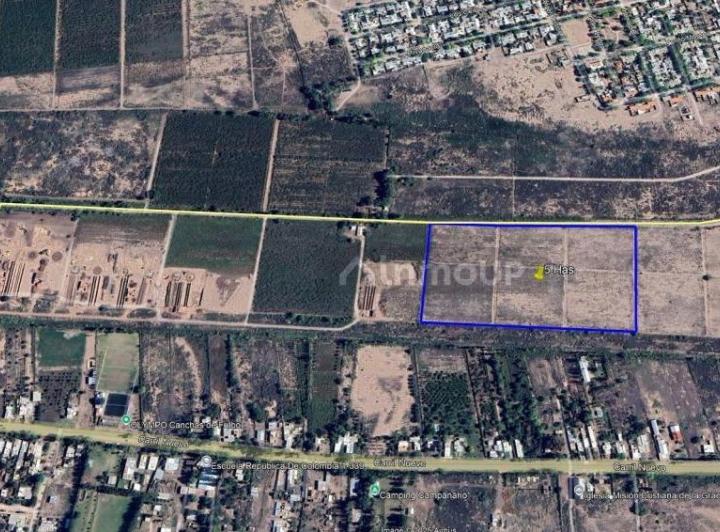 Campo · 50000m²