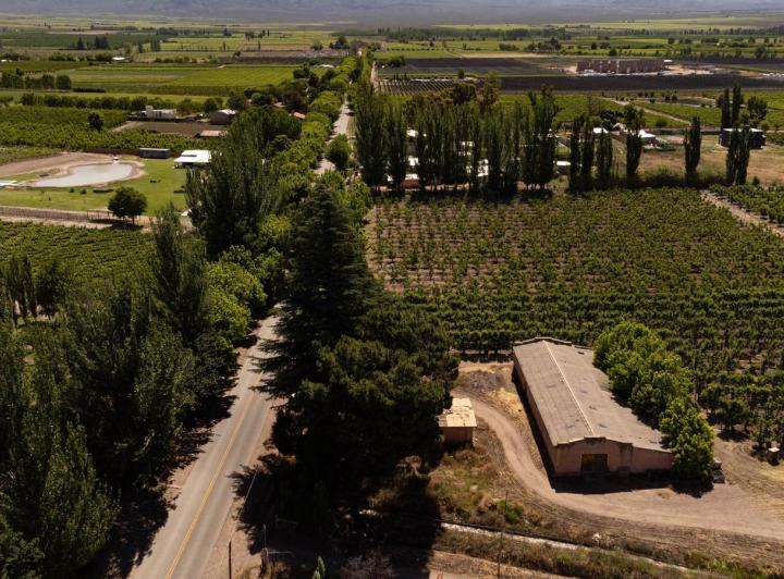 Campo · 60ha
