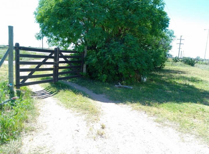 Campo · 600m²