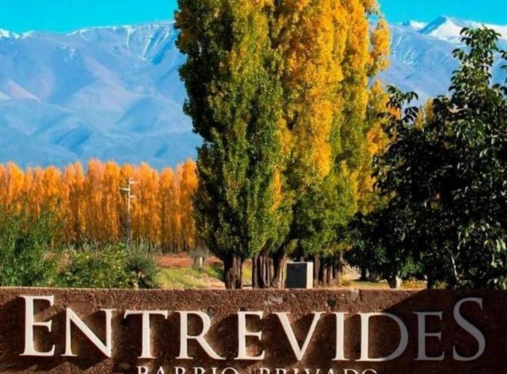 Terreno · 1000m²