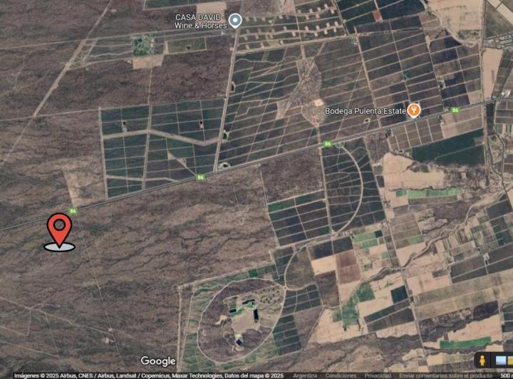 Campo · 98757m²