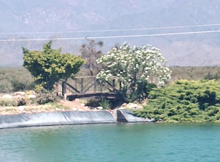 Campo · 100m²
