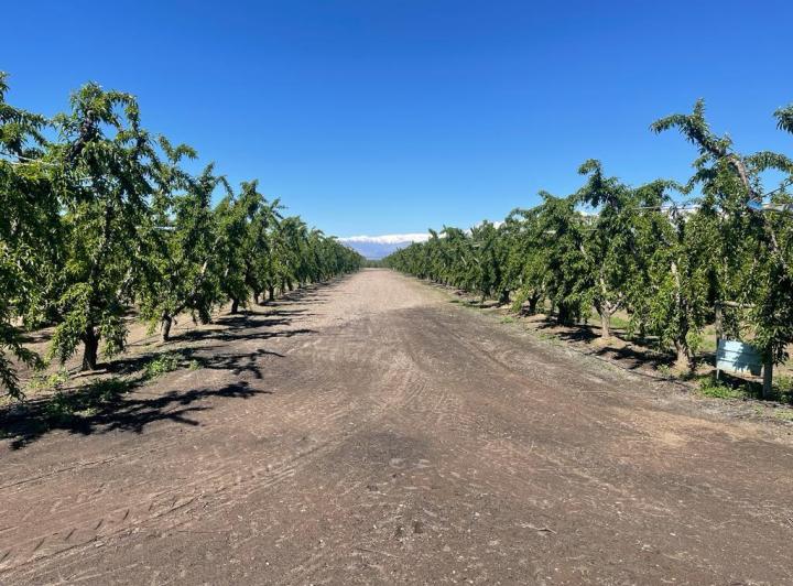Campo · 340000m²