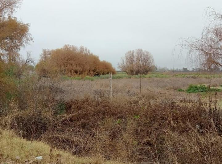 Terreno · 4000m²