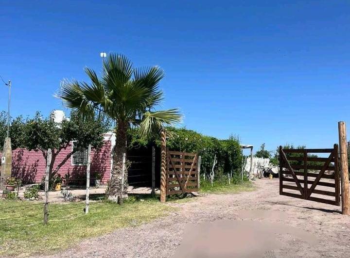 Campo · 100000m²