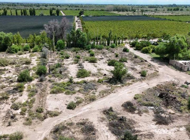 Campo