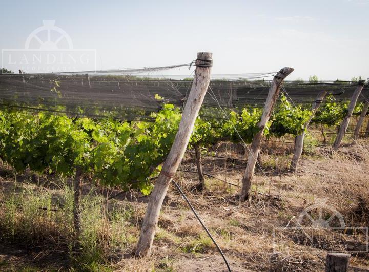 Campo · 200m² · 4 Ambientes