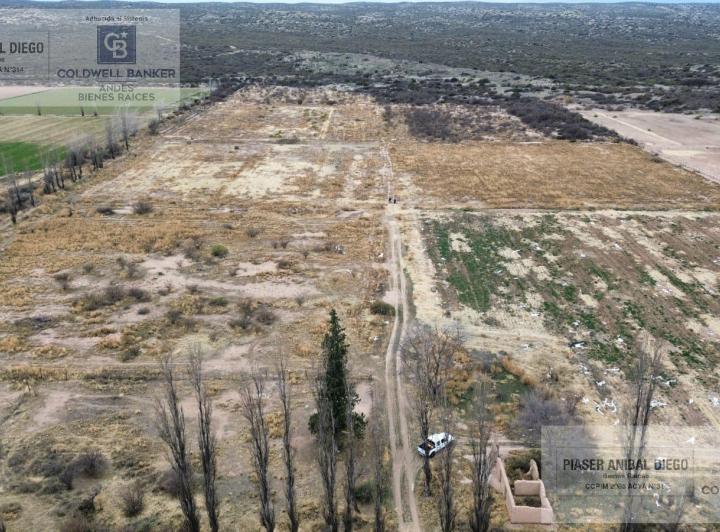 Campo · 105000ha