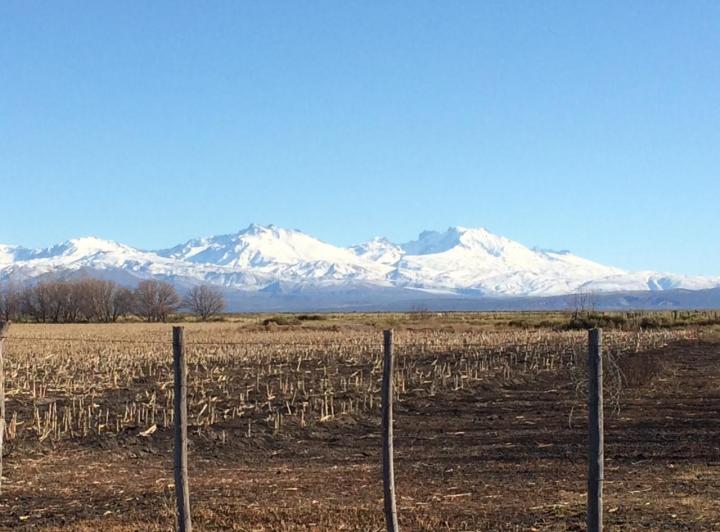Campo · 7140000ha