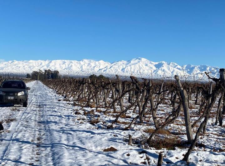 Campo · 510000m²