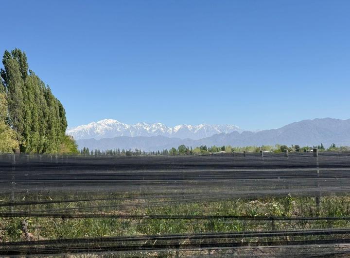 Campo · 68000ha