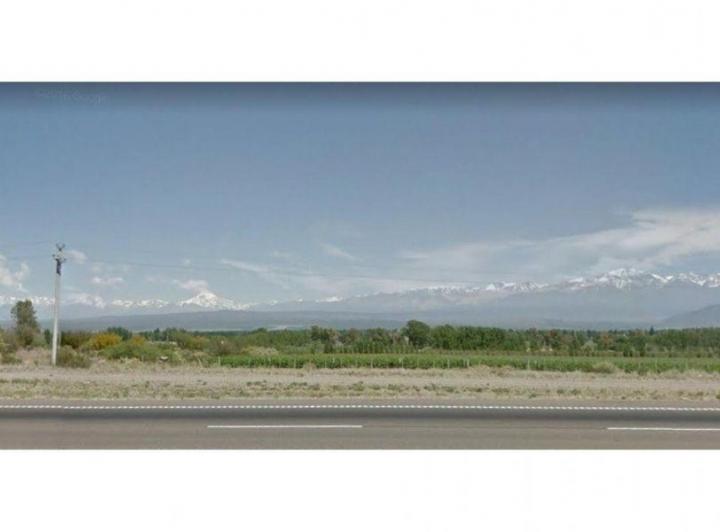 Campo · 6ha