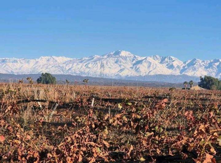 Campo · 900000m²