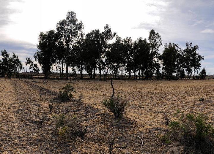 Campo · 95000m²