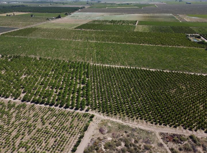 Campo · 300m² · 3 Ambientes · 1 Cochera