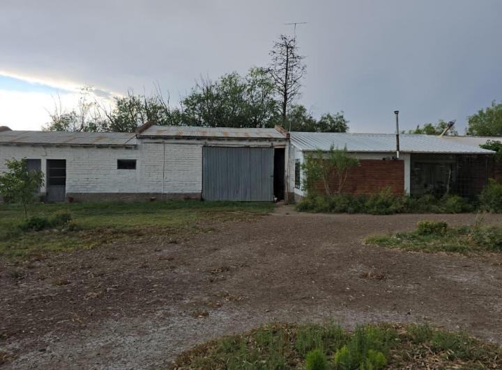 Campo · 450m² · 4 Dormitorios · 4 Cocheras