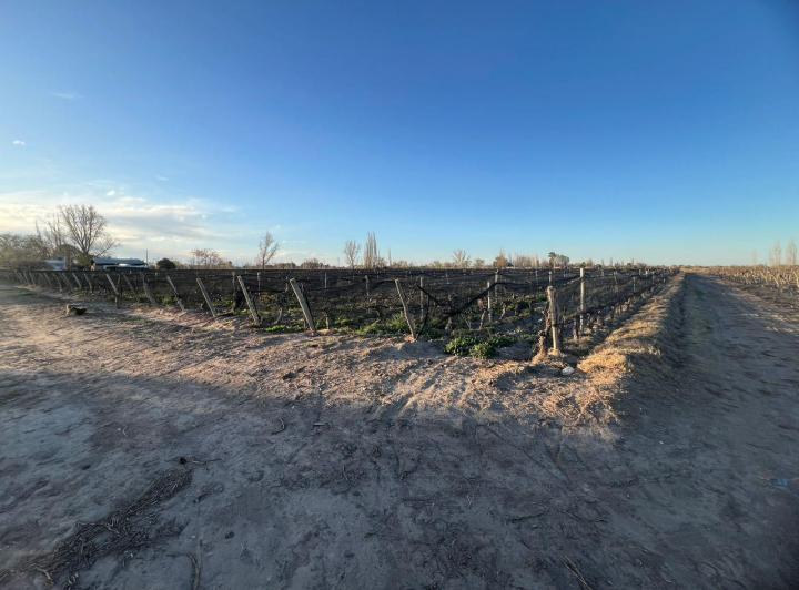 Terreno · 160m²