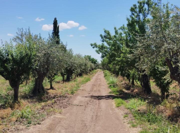Campo · 6400m²