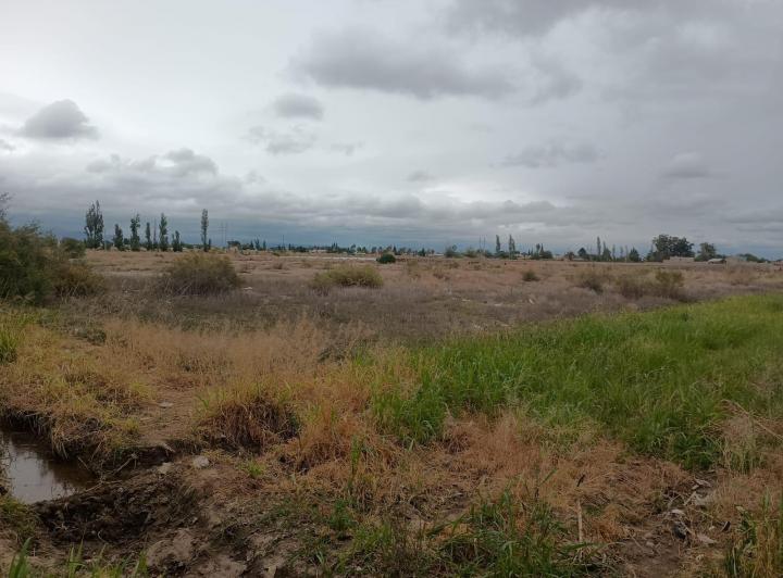 Terreno · 60000m²