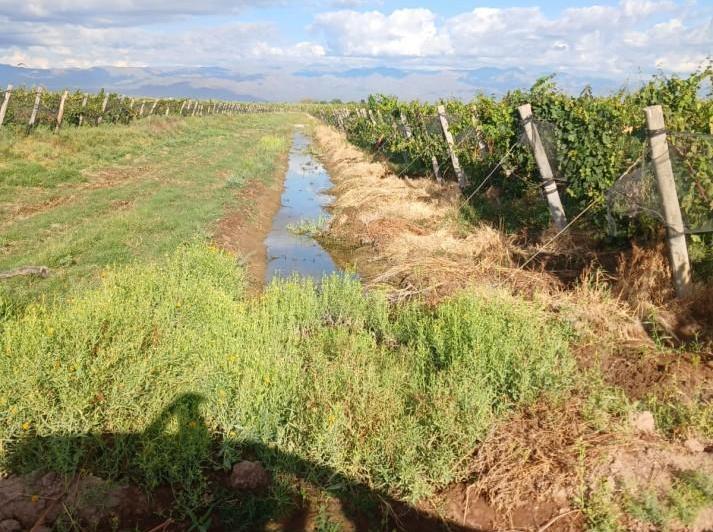 Quinta vacacional · 490000m²