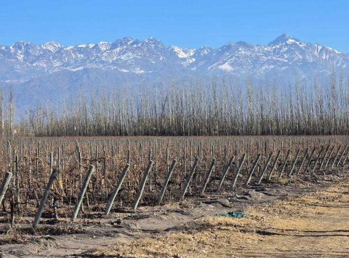 Campo · 46670m²