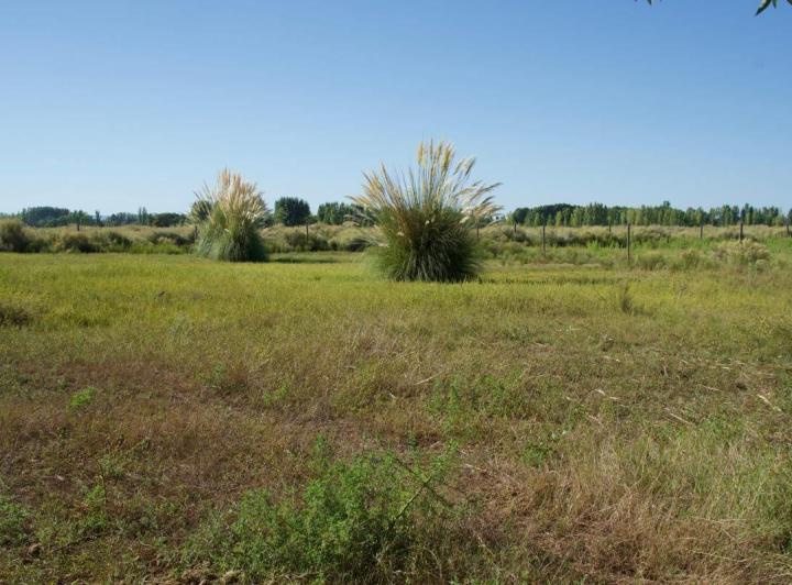 Terreno · 2000m²