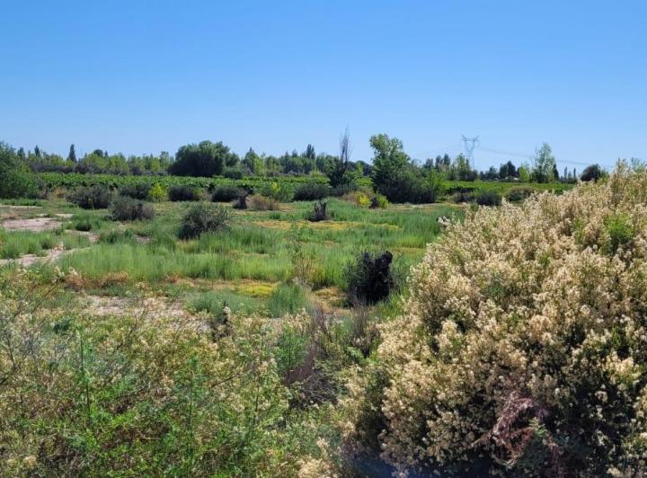 Campo · 30000m²