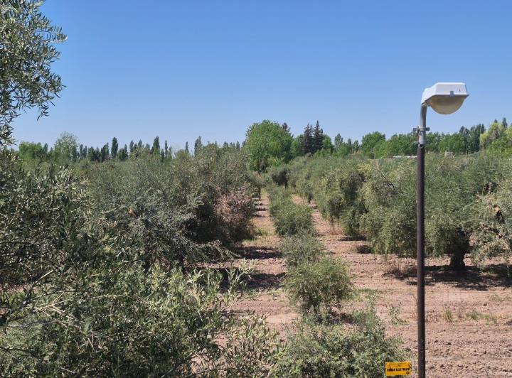 Campo · 760m²