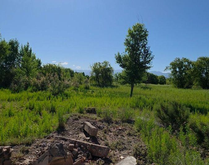 Terreno · 25000m²