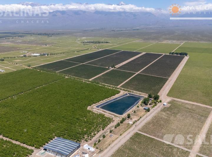 Campo · 700000m²
