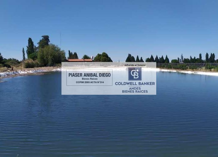 Bodega-Galpón · 400ha · 3 Ambientes